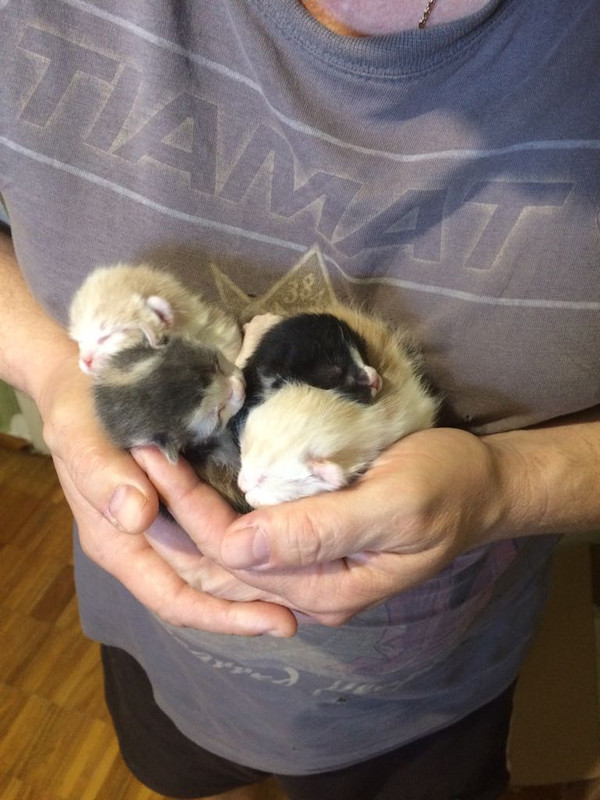 27a024fb-b946-4b02-b4a0-d7b4176456d1