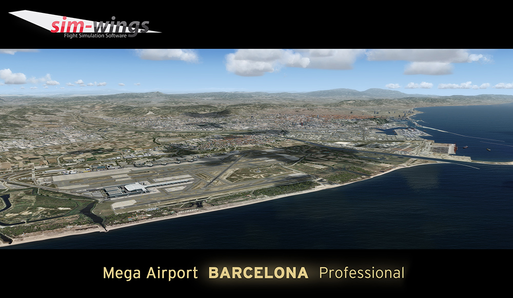 barcelona-professional (14)