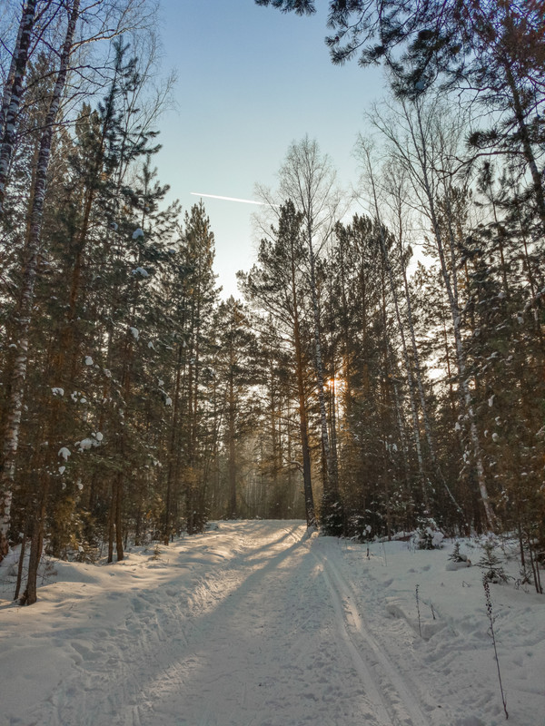 IMG_20230205_144846 (2)