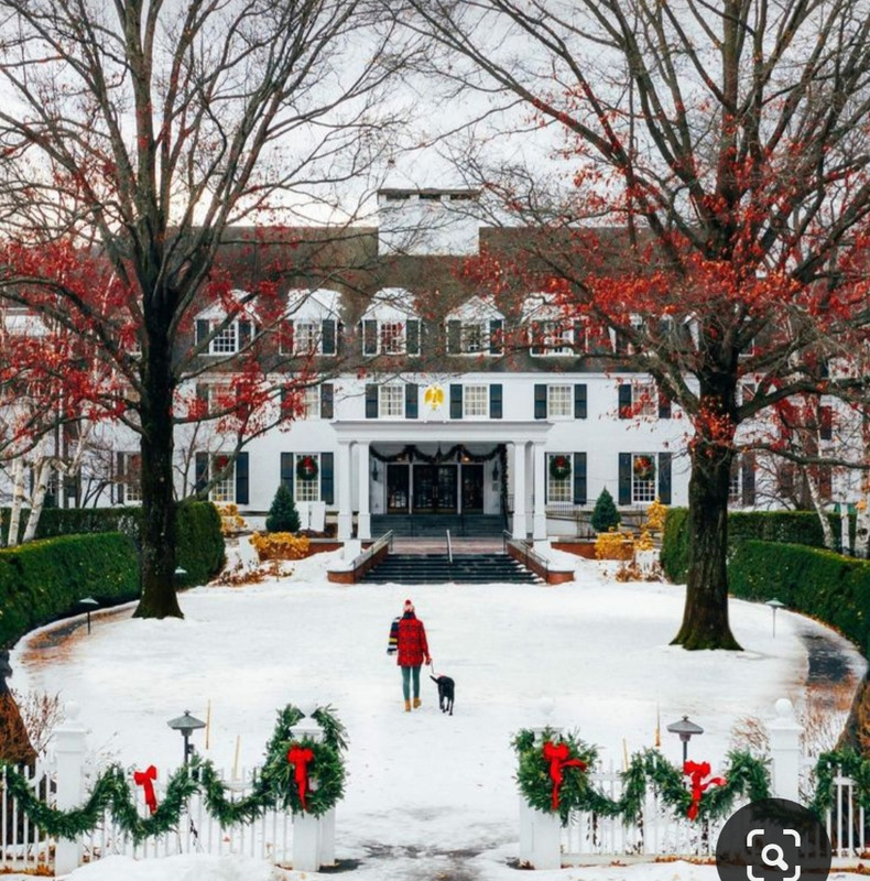 Screenshot_20231119_182140_Pinterest