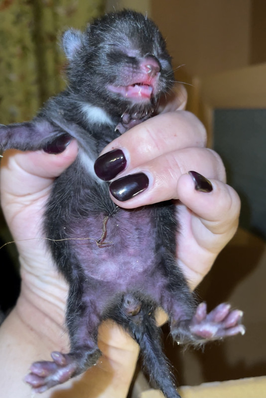 B7735EF1-7832-4E45-A1E1-7072B293203B