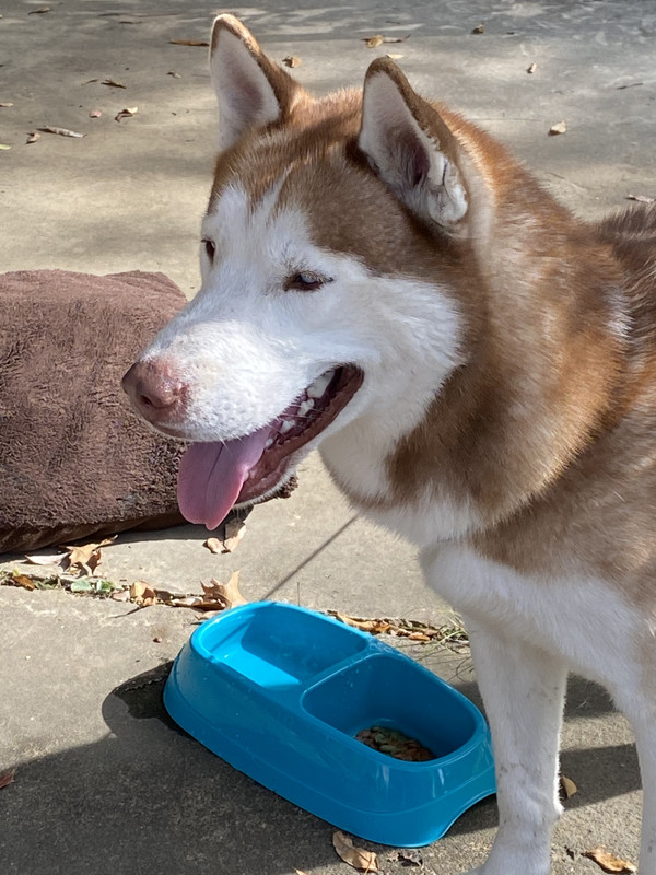 5FEE2C4C-85DE-4287-B2FC-80A44CE40955