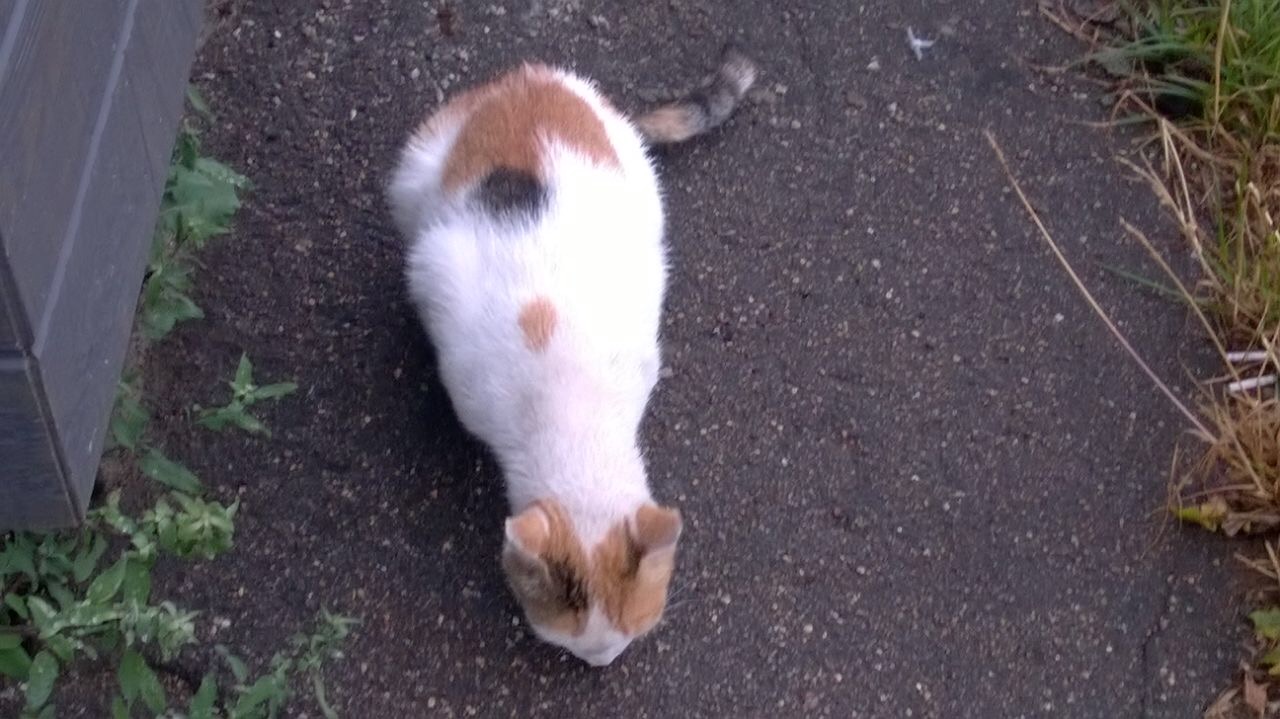 A5974C77-46A4-4977-886B-FCD0876153EB