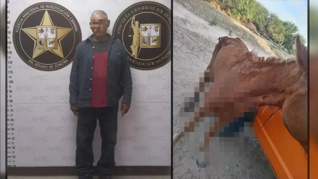 Detienen a sujeto por maltrato animal contra una yegua en Sonora