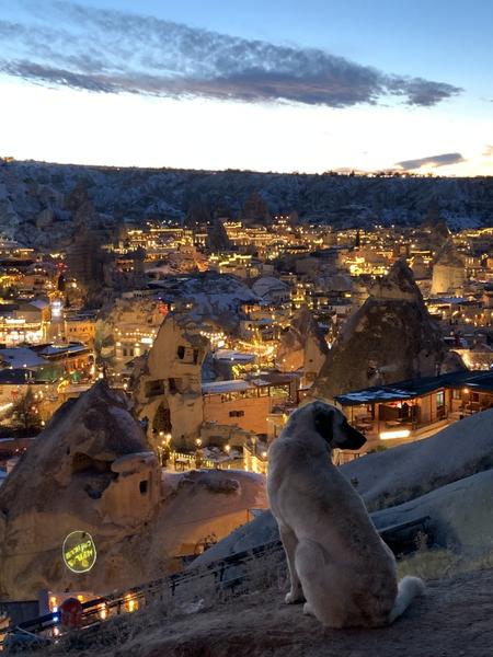 Göreme y el circuito verde de la Capadocia - Un poco de Turquía en Navidad de 2025: Estambul y Capadocia bajo la nieve (13)