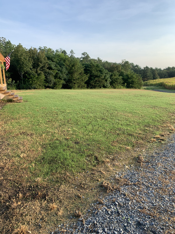 First mow for TTTF Lawn Care Forum