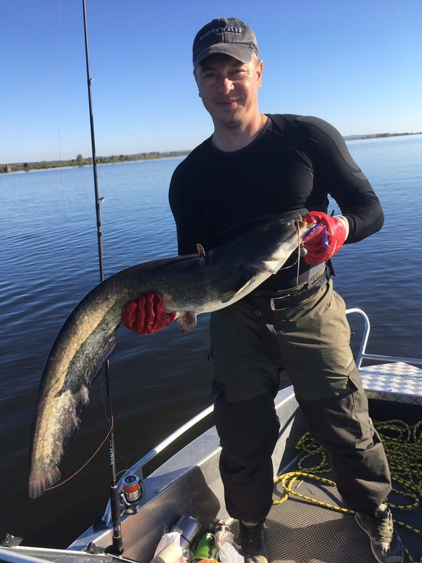 63 1 Мальков Дмитрий джиг спиннинг судак щука мастер-класс Куляпин Андрей обучение рыбалка троллинг 