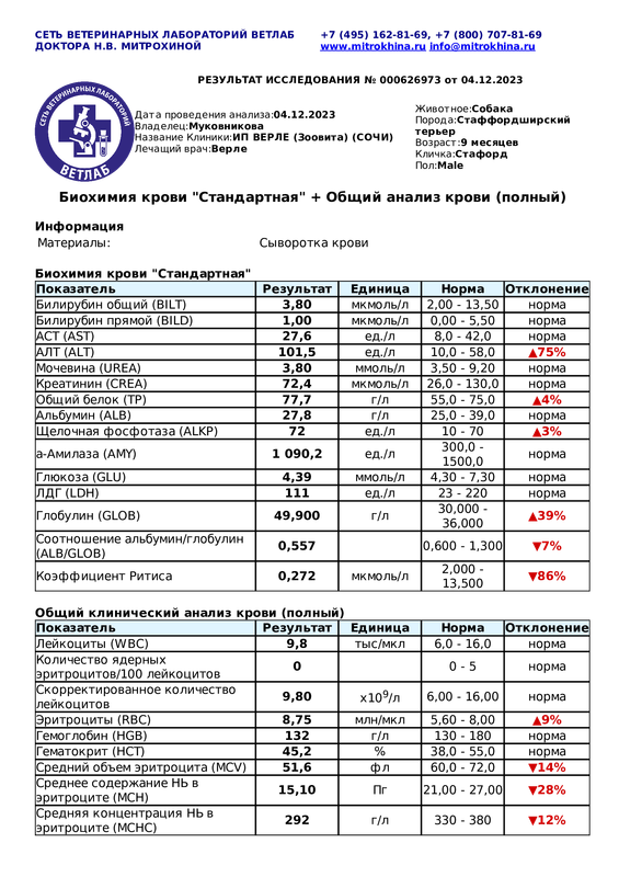 Биохимия крови  Стандарт  - Общий анализ крови (полный) (Диагностическое исследование 000626973 от 0