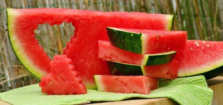 parrots eat watermelon