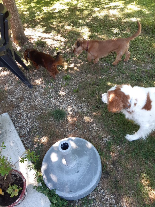 [Image: 20200707-105613.jpg]