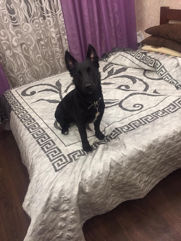 EC18EDD5-D8F8-4503-883E-30E47DE036D3