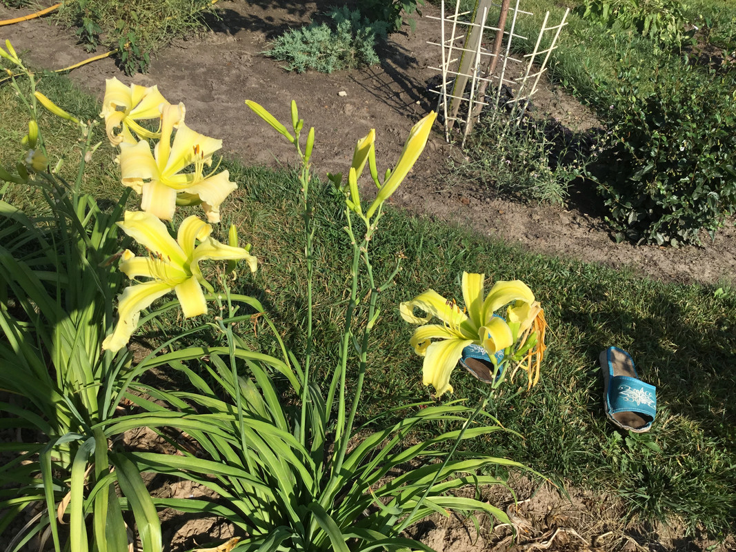 3FC0517D-3793-4F47-858B-2B50142ADB9C