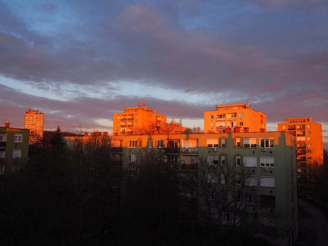 Kép