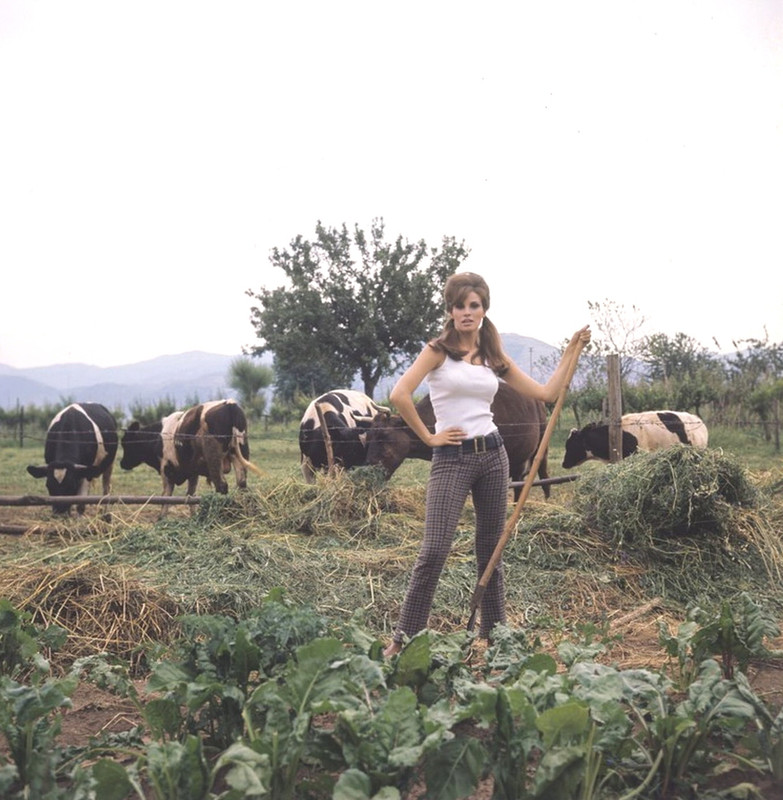 raquel_welch_f61
