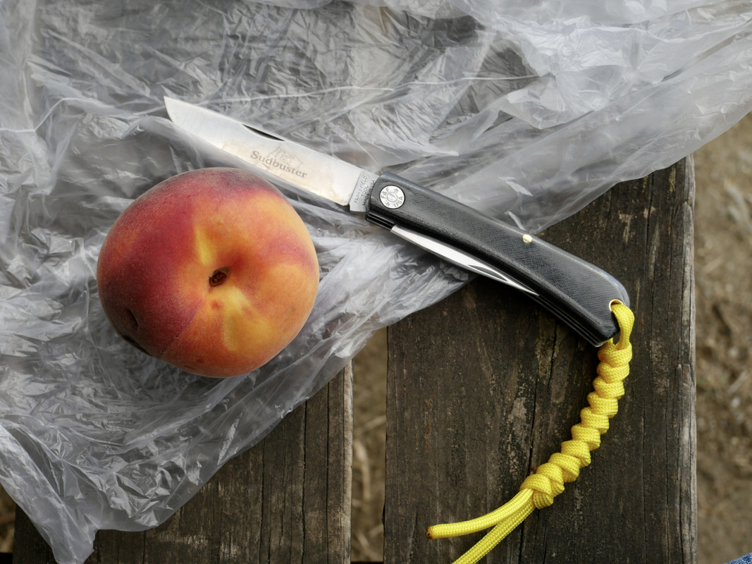 C79797CC-F68E-4980-B465-665135AB5EDD