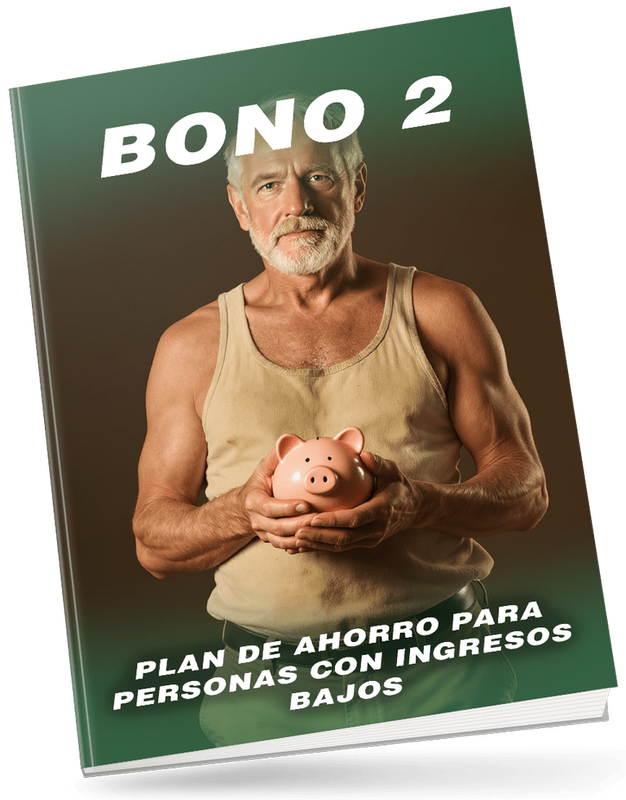 Bono 2