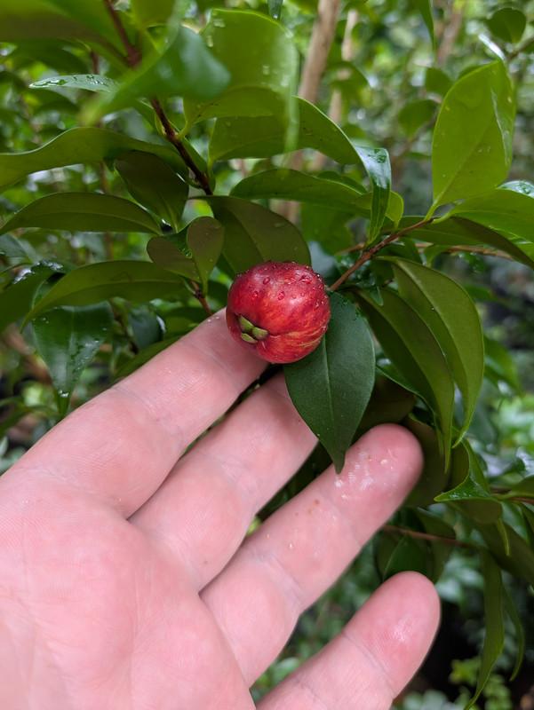 PXL_20250925_180021598