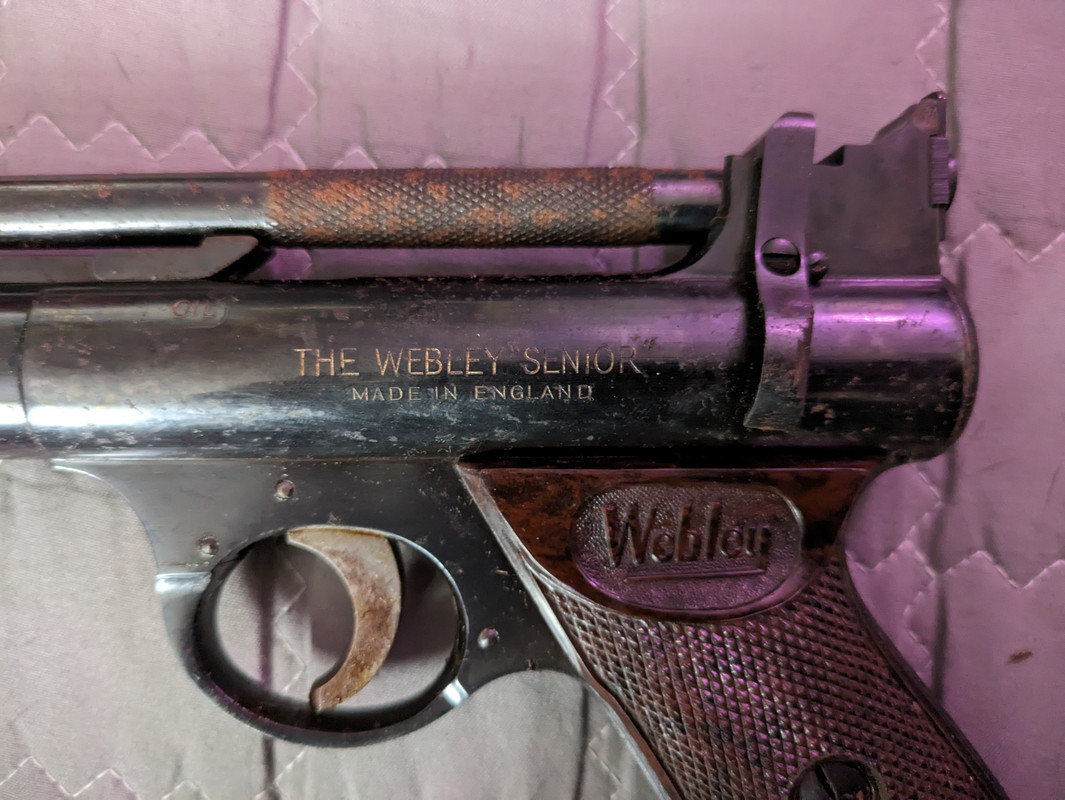 PXL_20230819_073754249