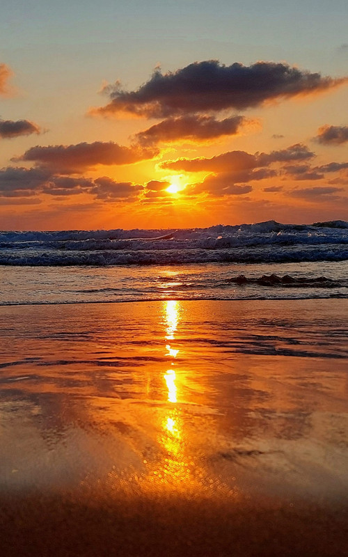 закат 10 белл