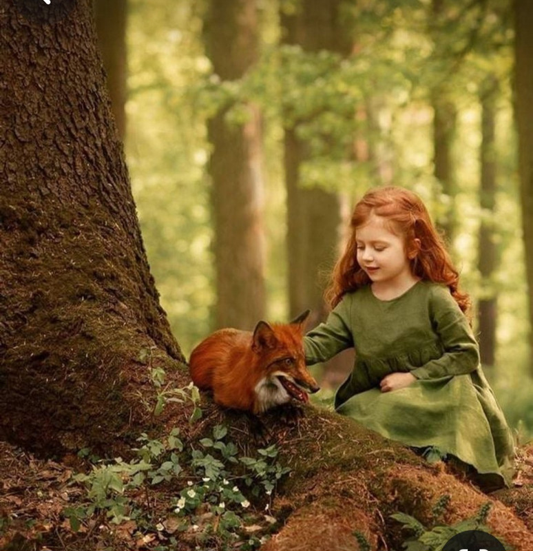 Screenshot_20231127_221418_Pinterest