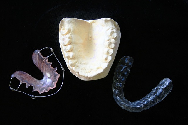 dental laboratory dental laboratory