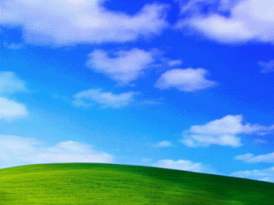 blue 13