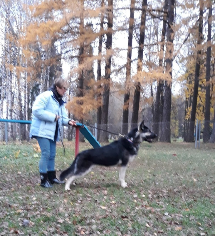 FQa3ZsC2t89gAwbFeKYMpS2Qxmrc2h_H5bZy_ztTE16L_uhyPSwEPMucy-JBQXulqZi2eo6trnOnSZYfN1b4Cj6E