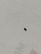 BA0533B9-A4FA-452F-BC44-C2411A432E0B