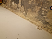 20260216-055744