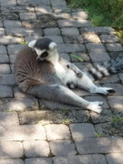 Don't call me a couch potato! Terry and June Moore