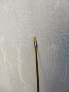 IMG_20191026_124152285