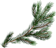 Daelmans-Designs-Deck-The-Halls-TS-PU-Element-0106
