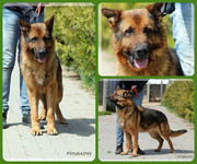 Be-Funky-collage-25.jpg&key=979b50153ba3