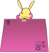 Big-Dust-Bunny-box