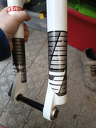 IMG_20230401_171647692