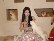 photo 7 2025 12 14 22 34 27