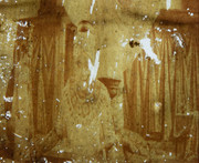IMG-20220920-WA0005