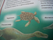 https://i.postimg.cc/2VGSz6H9/100-8594.jpg
