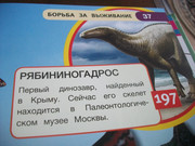 https://i.postimg.cc/2VH0SPww/100-8094.jpg