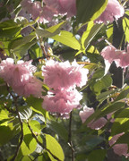 photo 2 2025 12 24 16 09 51