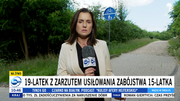 Obrazek