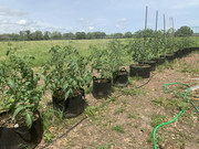 A14C5CC4-0D05-4809-B4D4-CA6AEC210109