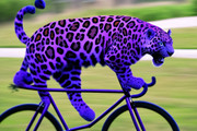 purple_jaguar_03