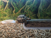 photo5242475564860813922