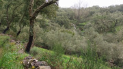 9-22032025
