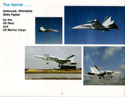 McDonnell FA-18 Hornet34