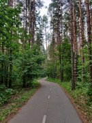 IMG-20210707-210633.jpg