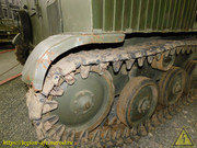DSCN6523