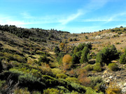 Al Pinar de Canencia