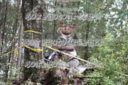 IMG-6468
